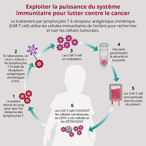 Schéma expliquant la thérapie par cellules CAR-T (cellules T porteuses d'un récepteur chimérique) pour lutter contre une invasion de cytokines.