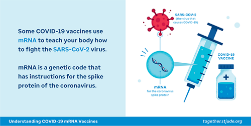 Some COVID-19 vaccines use mRNA to teach your body how to fight the SARS-CoV-2 virus. mRNA is a genetic code that has instructions for the spoke protein of the coronavirus.