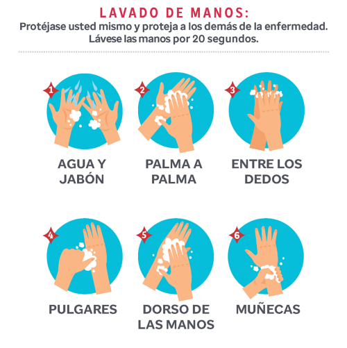 Lavado de manos: Protéjase a sí mismo y a los demás de la enfermedad. Lávese durante 20 segundos. 1) Agua y jabón 2) De palma a palma 3) Entre los dedos 4) Los pulgares 5) El dorso de las manos 6) Las muñecas