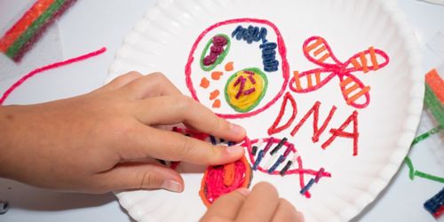 image of child drawing on paper plate