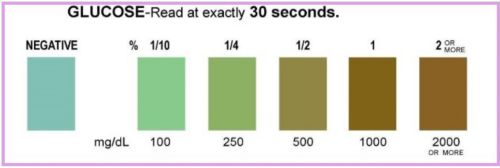 Glucose Chart