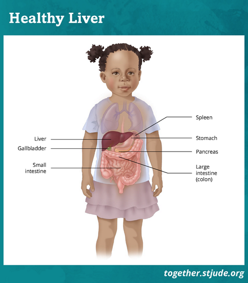 Hepatitis is an infection of the liver.