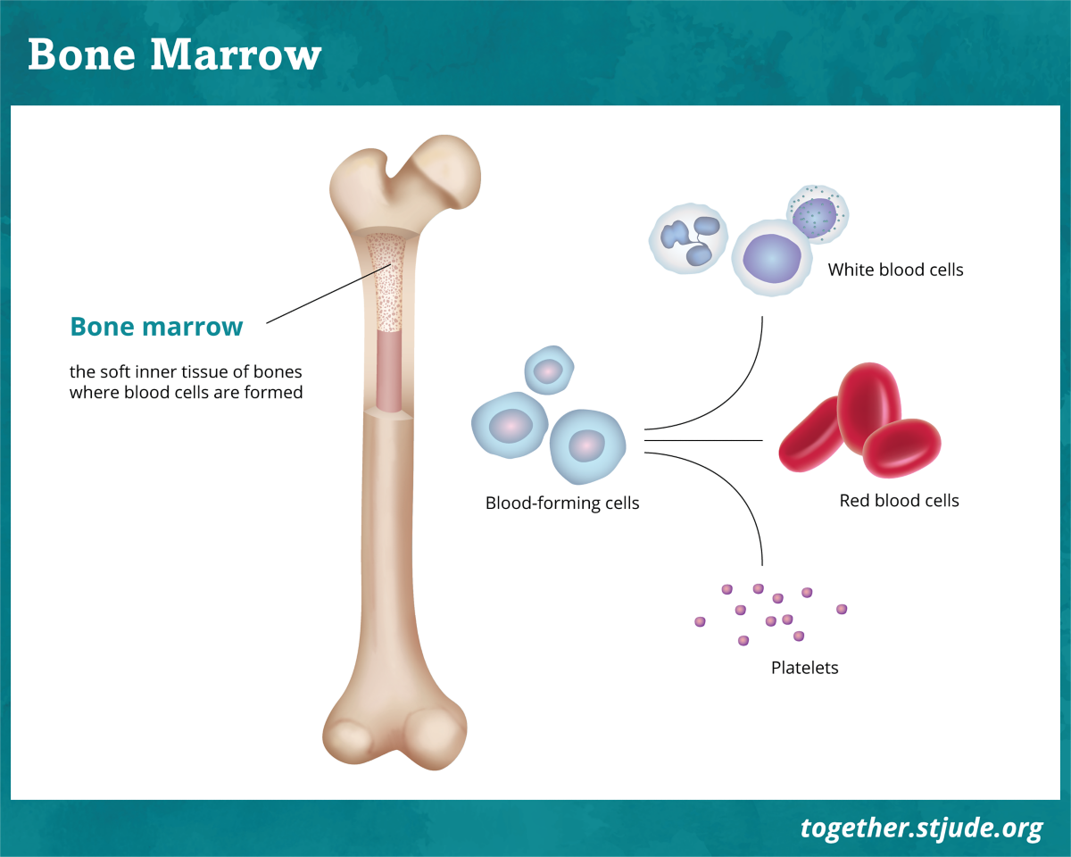 stem-cell-bone-marrow-transplant-together-by-st-jude