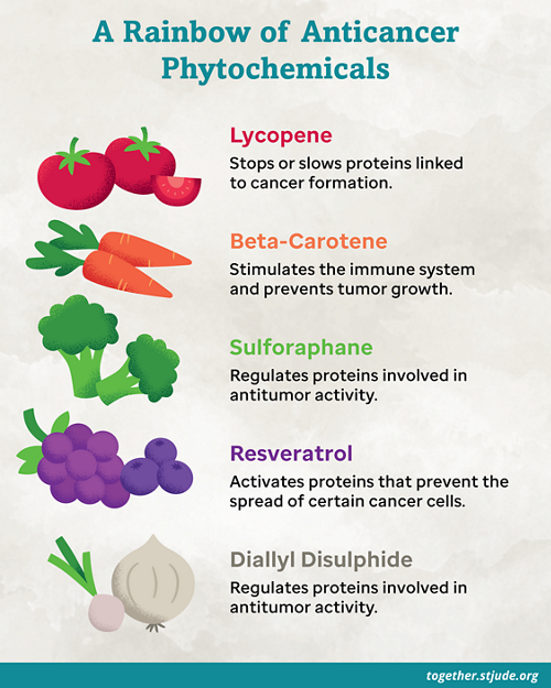 Anticancer superfoods