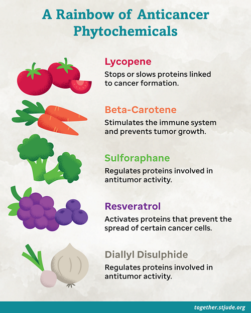 A Rainbow of Anticancer Phytochemicals
