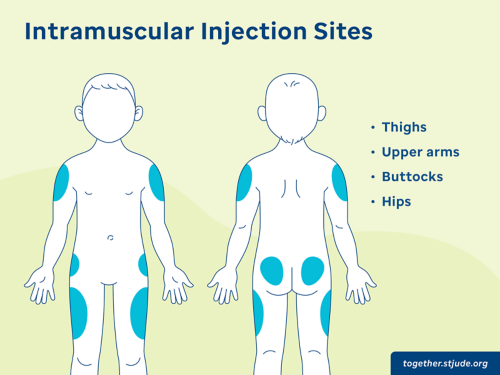 im injection in thigh        <h3 class=