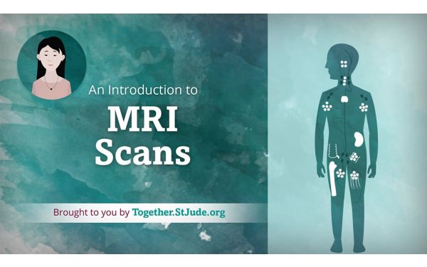 What Is an MRI?