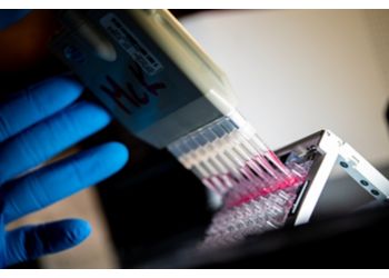 Institutional Initiatives