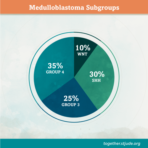 A pie chart showing medulloblastoma 4 main subgroups.