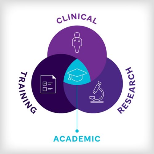 overlapping circles show the connection between clinical, research, and training to form one academic focus