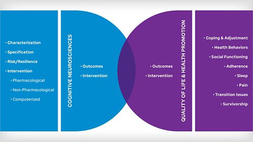 A venn diagram illustrated the research focus areas between Cognitive Outcomes and Quality of Life and Health Promotion