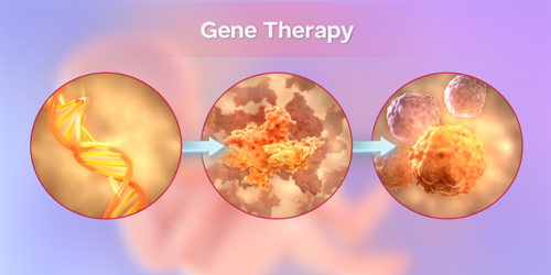 Immunodeficiency Diseases Treatment