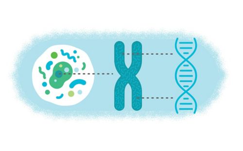 Clinical research: Understanding the importance of nursing in precision medicine