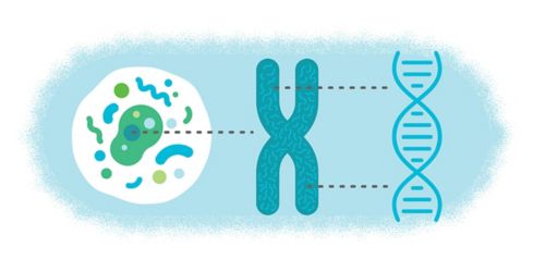 Precision medicine is changing the role of nursing in assisting patients and their families.