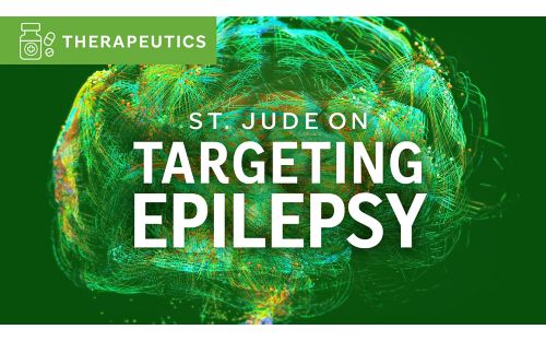 Targeting Epilepsy illustration