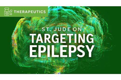 Targeting Epilepsy illustration