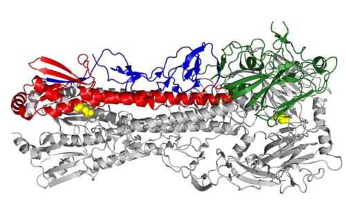 Searching for the next pandemic flu virus? There’s another factor to keep in mind.