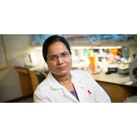 Thirumala-Devi Kanneganti, PhD, honored for discoveries in immunology