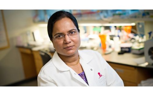 Thirumala-Devi Kanneganti, PhD, honored for discoveries in immunology