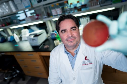 Man in white coat looking at a culture plate in a laboratory