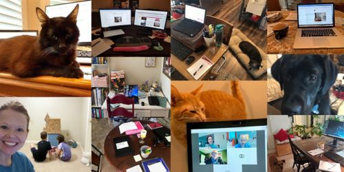 collage of work from home images