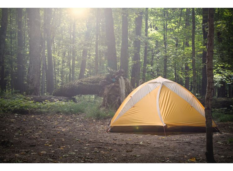 Yellow tent in the woods