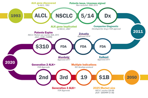 market size for NSCLC drug sub-market