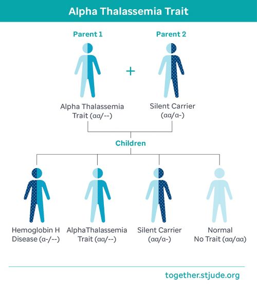 Hemoglobin H disease