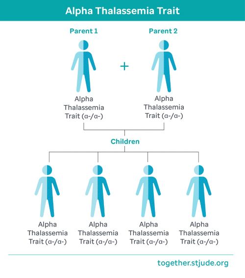 Alpha Thalassemia Trait