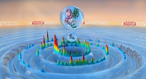 Nuclear receptor DNA