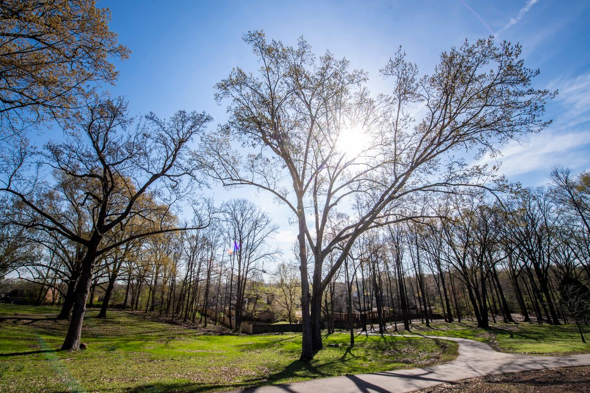 Park in Arlington