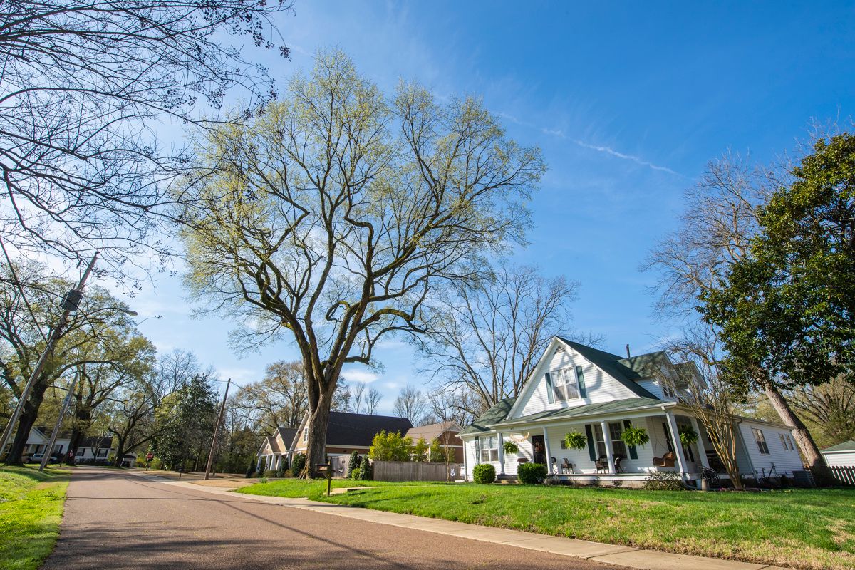 Residential street in Arlington