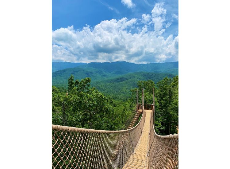  Rope bridge leading to a platform with a view of the mountains