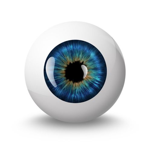 eyeball with shadow on white background