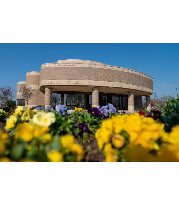 Blooming cherry blossom tree in foreground, exterior brown and tan brick building in background