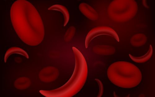 Illustration of blood cells