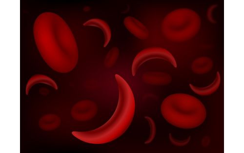 Illustration of blood cells