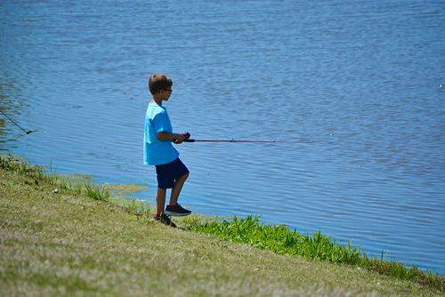 Bright yellow photo of an ant crawling on a leaf.