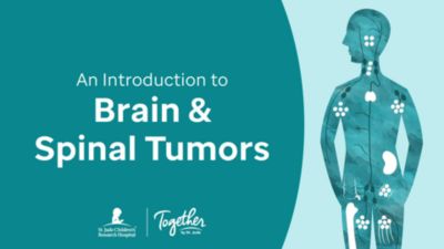 What Are Brain and Spinal Tumors?