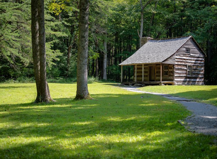   Brown log cabin surrounded by green field and trees