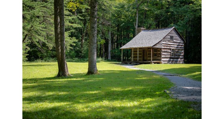   Brown log cabin surrounded by green field and trees