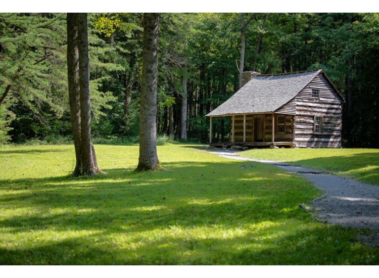   Brown log cabin surrounded by green field and trees