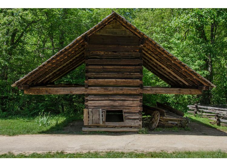 Historic log structure surrounded by trees