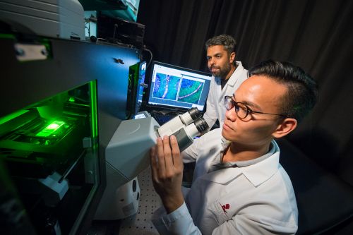 Pesquisadores de câncer pediátrico usando microscópio em laboratório