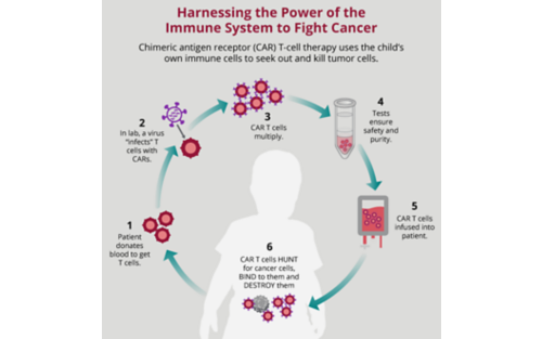 CAR T-Cell therapy what to expect graphic