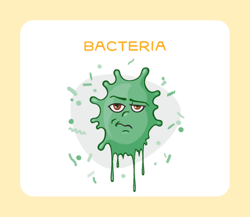 Bacterias
