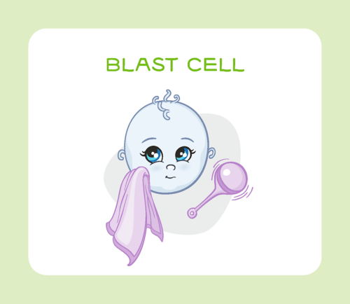Blast cell