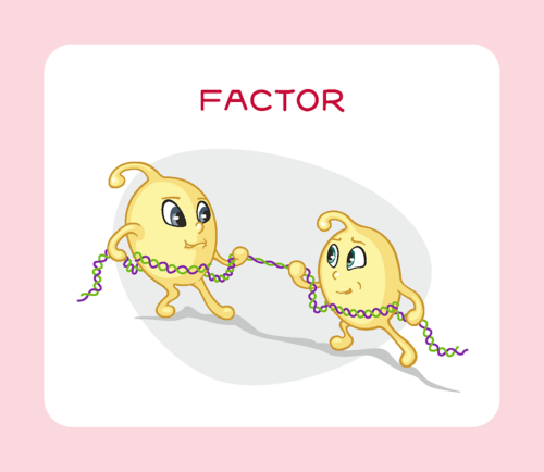 Factor