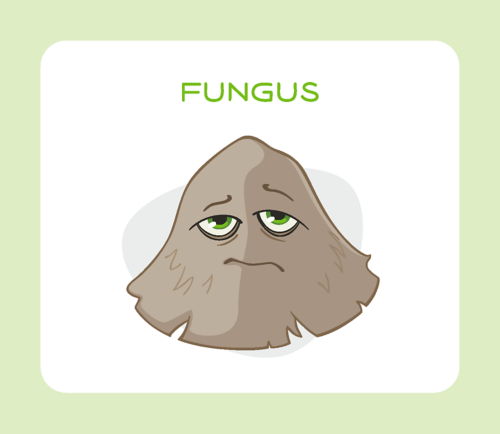Hongo