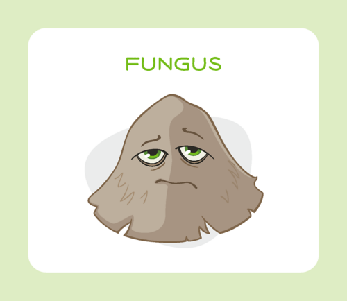 Fungo